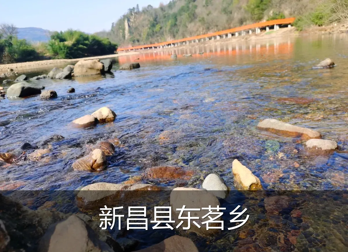 新昌县东茗乡