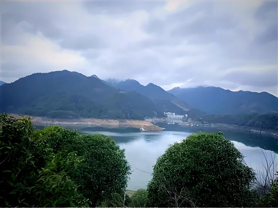新昌县新昌县移动宽带