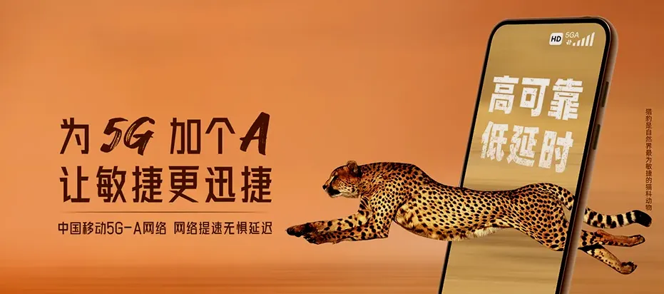 新昌县新昌县羽林街道 移动宽带